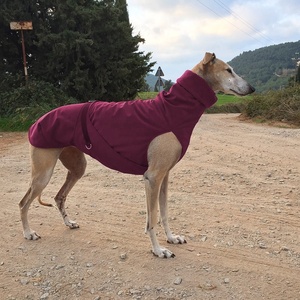 Vêtements pour animaux de compagnie Qiqu, veste imperméable coupe-vent en <span class=keywords><strong>polaire</strong></span> douce pour <span class=keywords><strong>chien</strong></span>, nouvelle conception personnalisée pour <span class=keywords><strong>chien</strong></span> de race Greyhound italien - Product Image 2