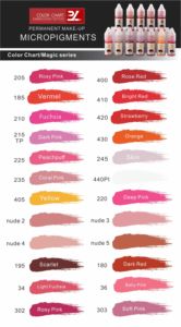 Ensemble d'encres pour <span class=keywords><strong>maquillage</strong></span> <span class=keywords><strong>permanent</strong></span>, pigments liquides à base d'eau pour lèvres et sourcils, microblading, marque privée, faible MOQ, Allemagne - Product Image 5