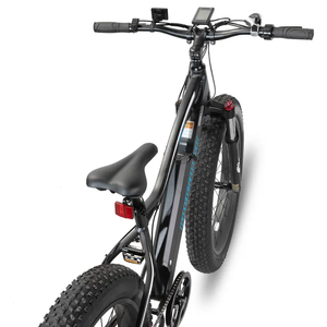 Bicicleta de montaña eléctrica <span class=keywords><strong>Titan</strong></span> 26 \ "<span class=keywords><strong>Fat</strong></span> Tire con fuente de alimentación de motor de cubo trasero por batería de litio - Product Image 2