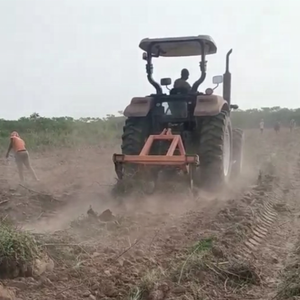 Einfache Typ 2 Reihen Kartoffel Knoblauch Karotte Cassava Ernte maschine Tapioka Harvester Manioc <span class=keywords><strong>Digger</strong></span> für Bauernhöfe - Product Image 5