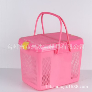 <b>Plastic</b> Picnic <b>Basket</b> Mold Injection Molding P20 Material Daily Necessities Fixed Mold Horizontal Arrangement - Product Image 1