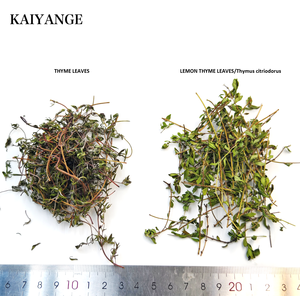 KAIYANGE Prix d'usine Thym citronné naturel séché (Thymus citriodorus) pour l'éclaircissement de la peau, épices, assaisonnement, tisane - Product Image 2
