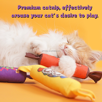 Jouet interactif durable pour chat en toile au design bonbon avec herbe à chat et papier froissé intégré pour les poussées dentaires