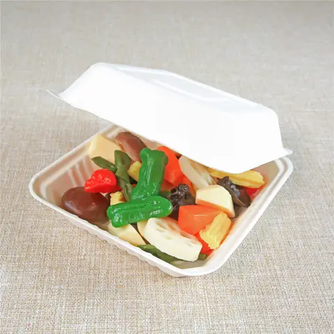 Take Out Containers Fiber Bagasse 6 HL Bagasse Blend Hinged Large Container
