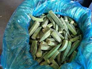 กระเจี๊ยบเขียวสดแช่แข็งทั้งหมด IQF เป็นกลุ่ม - Product Image 6