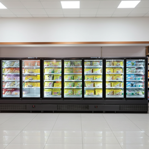 Refrigerador Comercial Vertical con Puerta de Vidrio, Congelador Multideck Enchufable, Congelador Vertical DDB para Supermercado - Product Image 3