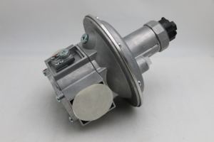 Original allemand Dongs FRS 515 1 1/2 Régulateur de pression de gaz adapté aux brûleurs à gaz et aux équipements à gaz - Product Image 6