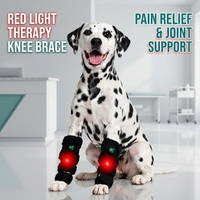 Ceinture de thérapie par lumière rouge EURVET pour chevaux, ceinture LED infrarouge portable 660nm 850nm pour animaux de compagnie, pour soulager les douleurs articulaires chez les chiens après une opération