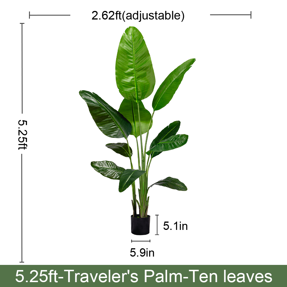 5.3FT/160CM