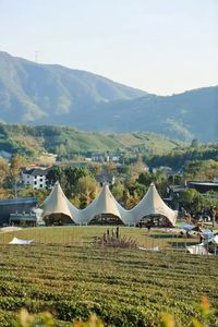 Tente de glamping écologique imperméable pour le camping en plein air, tente tipi indienne à trois pyramides pour les événements, les réceptions et les expositions - Product Image 4