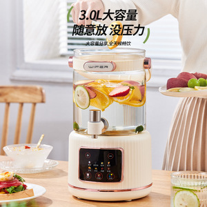 Pichet à thé et infusion de fruits Wifer 3.0L, grande capacité, bouilloire intelligente pour usage domestique - Product Image 1