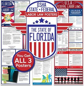 Kit de posters de conformité au lieu de <span class=keywords><strong>travail</strong></span> pour la Floride 2026, Lois du <span class=keywords><strong>travail</strong></span> fédéral et étatique, OSHA, laminé, papier, portrait - Product Image 1