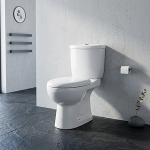 โถสุขภัณฑ์เซรามิกแบบสองชิ้น Aqua Pan ระบบ Washdown แบบ Dual Flush พร้อม P-Trap ต่ำ ติดตั้งบนพื้น - Product Image 5