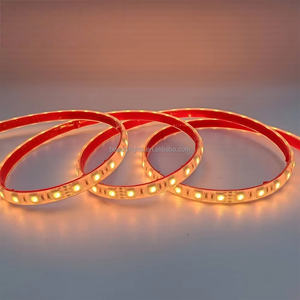 Tira de Luces LED RGB de Siete Colores al por Mayor, Tira de Luces LED Inteligente para Techo con Clasificación de Impermeabilidad LP68 - Product Image 3