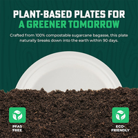 Assiettes jetables biodégradables et compostables pour restaurants de restauration rapide, vaisselle à emporter, vaisselle de fête en céramique et canne à sucre