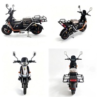 Scooter électrique OEM/ODM 60V 1000W, moto électrique avec amortisseur hydraulique, contrôleur 12 tubes, écran LCD, vélo électrique