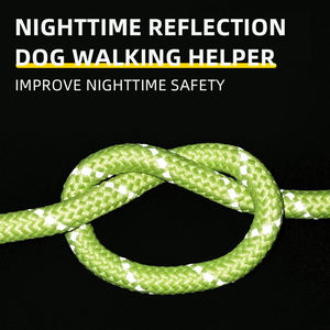 OEM/ODM 1,5m 2m Zugfreie Reflektierende Verstellbare Bissfeste Nylon Outdoor-Hundeleine - Product Image 3