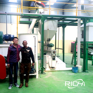 Machine à granulés d'aliments pour animaux RICHI multifonctionnelle pour soja et coton - Usine de fabrication de granulés d'aliments pour volailles et animaux à petite échelle - Product Image 2