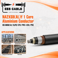 Câble d'alimentation moyenne tension NA2XSB(AL)Y 1 conducteur en aluminium, isolation XLPE, gaine en PVC, blindage en bande d'aluminium, norme IEC 60502