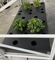 Système de culture aéroponique vertical Aeroponics Arrosage automatique Systèmes de culture