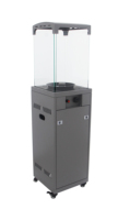 Foyer à gaz Portable autoportant se déplaçant librement Chauffage de terrasse à gaz pour jardin et terrasse foyer extérieur réservoir à gaz