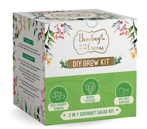 Kit de jardinage de salade unique avec pots de plantation pour légumes, épices et herbes pour pots de fleurs et jardinières - Product Image 1