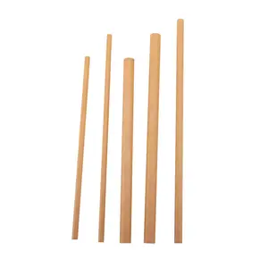 Paille de papier kraft jetable écologique 10 pièces, paille biodégradable pour le thé à bulles, papier enveloppé individuellement