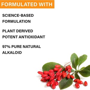 OEM Vegan Berberine <span class=keywords><strong>HCL</strong></span> Cápsulas 500mg 1000mg Suplementos naturais ao extrato erval Suplementos à saúde para adultos Não para crianças - Product Image 3