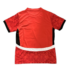 <span class=keywords><strong>Camisetas</strong></span> <span class=keywords><strong>de</strong></span> Fútbol Personalizadas <span class=keywords><strong>Baratas</strong></span> <span class=keywords><strong>de</strong></span> Alta Calidad 2526 Nueva Camiseta <span class=keywords><strong>de</strong></span> Fútbol <span class=keywords><strong>de</strong></span> Egipto Local y Visitante, Camiseta <span class=keywords><strong>de</strong></span> Fútbol del Equipo Nacional <span class=keywords><strong>de</strong></span> Jugadores - Product Image 2