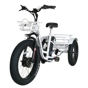 <span class=keywords><strong>ADO</strong></span> OASIS 260 Vélo <span class=keywords><strong>cargo</strong></span> électrique 48v Moteur sans balais Hybrid City Road EBike 48v Cadre en aluminium Vélo électrique pour usage familial - Product Image 2