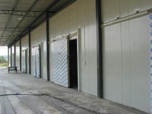 ห้องเย็นอุตสาหกรรมขนาดใหญ่สำหรับเนื้อสัตว์ อาหารทะเล ผัก แช่แข็ง เก็บรักษาแบบเชิงพาณิชย์ ตู้แช่แข็งแบบวอล์กอิน - Product Image 6