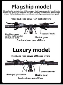 Bicicleta Eléctrica de <span class=keywords><strong>Montaña</strong></span> para Adultos, Estilo Deportivo de Alta Calidad, 36V, 21 Velocidades, Aleación de Aluminio, Motor de 30-50 Nm en el Buje Trasero, Frenos de Disco - Product Image 3