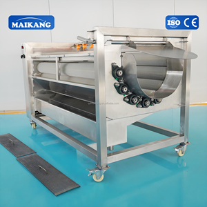 Línea de Producción Industrial Automática para Lavado, Escaldado y Enfriamiento de Vegetales y Pescado, Equipo para Vegetales y Calamar - Product Image 4