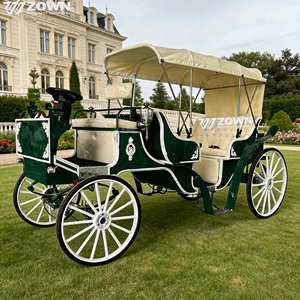 Carroza Eléctrica para Turismo, con Motor a Batería, para Bodas, Lugares Turísticos, Parques de Atracciones, Jardines - Product Image 1