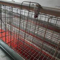 Cage à poules pondeuses automatique de type A pour l'élevage de poules pondeuses au Malawi