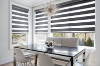 Sunnysky Moderne Luxe Électrique Smart Zebra Rideau Insonorisé pour Salon et Villas Usine Vente en Gros