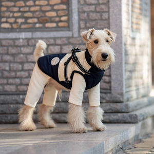 Venta al por mayor de chaquetas de lujo para perros, chaleco con capucha de fábrica, ropa para mascotas, abrigo impermeable para perros, abrigo de invierno aislado - Product Image 3