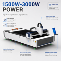 Machine de découpe laser à fibre à plateforme unique automatique et compacte 3015 2040 pour la production en atelier et l'industrie navale
