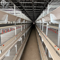 Système de cage d'élevage de poussins de type H en acier galvanisé, 3/4 niveaux, double moteur, courroie de fumier, 320 oiseaux