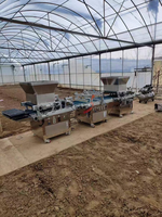 Machine automatique de semis pour plateau de semis agricole, puissante semoir de type seringue pour plateaux de culture