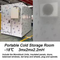 3mx2mx2.2mH Portable -18C basse température Cold Storage Room Walk-in Chiller room Blaster Congélation Cabinet Viande Poisson Fruits de mer Glace