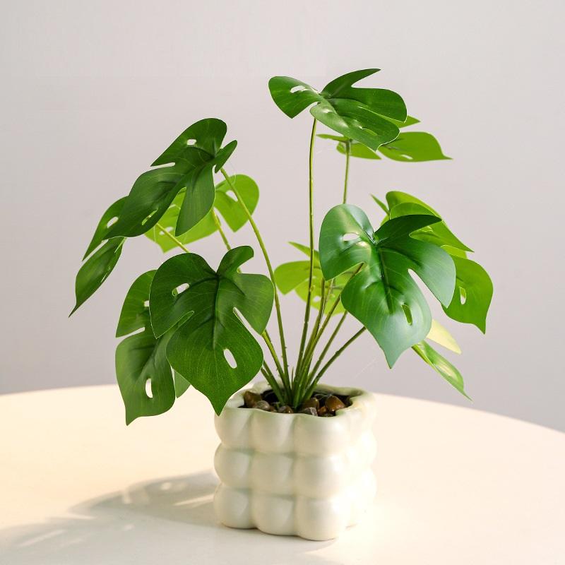 #1 green (turtle leaf)