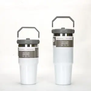20oz 30oz Vacuum Insulated Cup Stainless Stainless Insulated Cup Insulated Coffee Cup With Lid And Straw