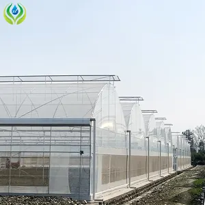 MYXL Sistemas de cultivo Serre Agricole Película grande Multi-Span Invernaderos agrícolas