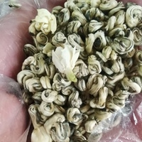 Direkt vom Hersteller: Jasmin-Jade-Schnecken-Dufttee, Reichhaltiges Frisches Jasmin-Aroma, Beruhigend und Stimmungsaufhellend, Stressabbauend, Individuell Anpassbar