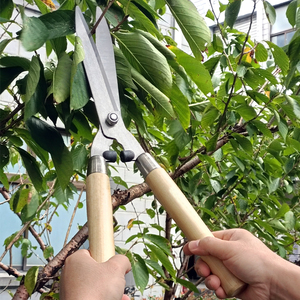 <span class=keywords><strong>Cisaille</strong></span> à tailler avec <span class=keywords><strong>manche</strong></span> en bois, outil de jardin de haute qualité livraison gratuite - Product Image 5
