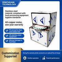 XINCHUAN Fabriek Leverancier Motorische Longan Ontpitmachine 220V Abrikozen Lychee Ontpit- en Ontzaaimachine 48 stuks/min
