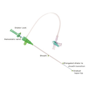 Disposable <strong>Introducer</strong> <strong>Sheath</strong> KIT