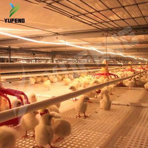 Vente directe d'usine, nouvel équipement d'élevage automatique de poulets en acier galvanisé à quatre niveaux, poussins - Product Image 3