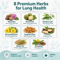 Té Desintoxicante de 8 Hierbas para Limpiar los Pulmones para Fumadores: Semilla de Sterculia, Fruta del Monje, Hoja de Bambú, Crisantemo, Cáscara de Mandarina, Regaliz y Diente de León